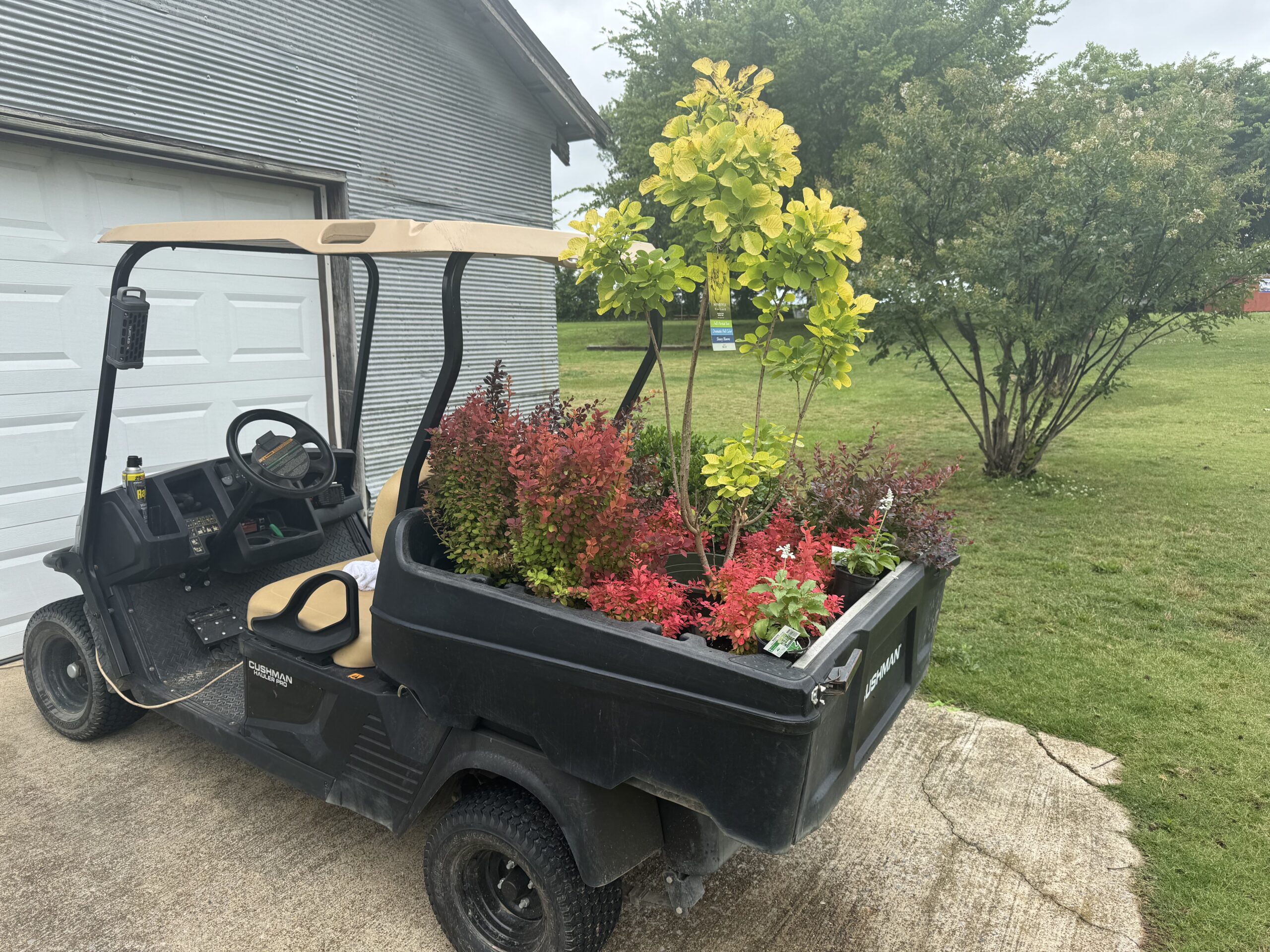 New plants in the Cushman